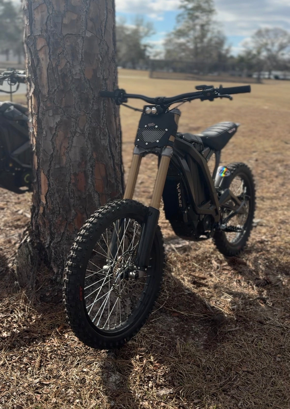 ILR Plug and Play Lbx Baja with mount